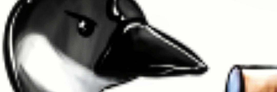 G000SEYplaysPICKLE banner