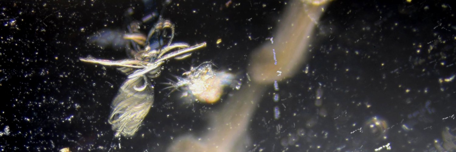 Roland van Dierendonck banner