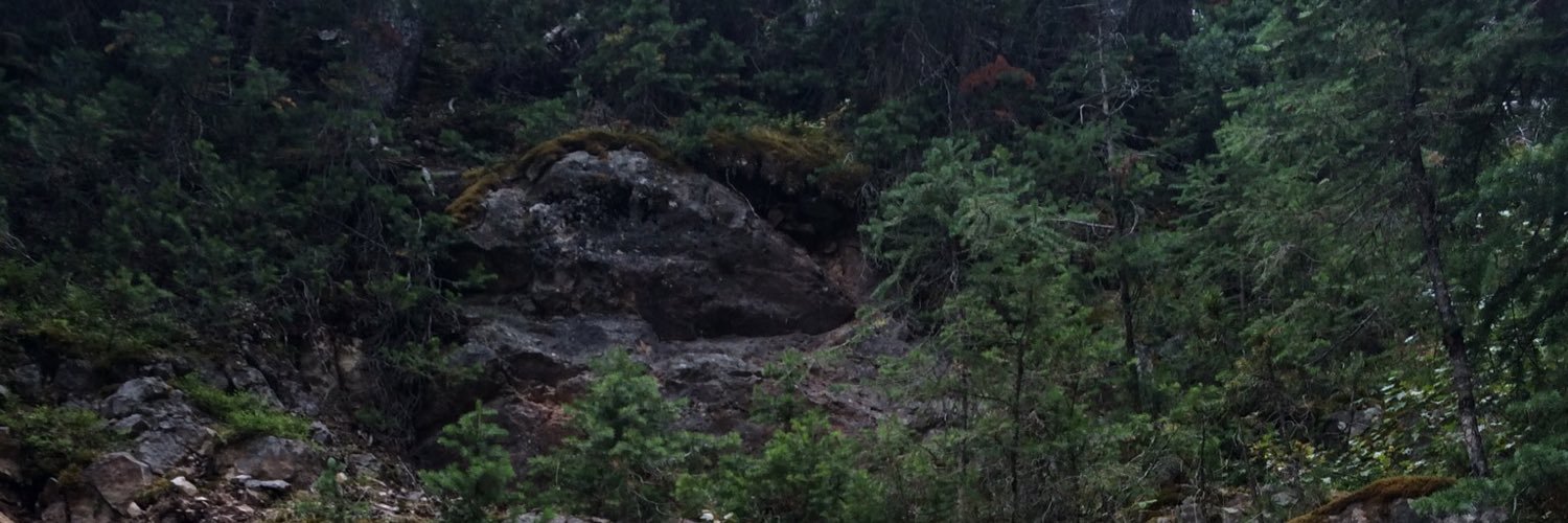 nikkitannerr's profile banner image