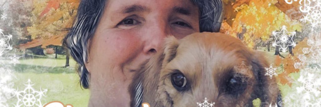 SandyLeeClark's profile banner image