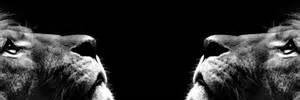 Tren banner