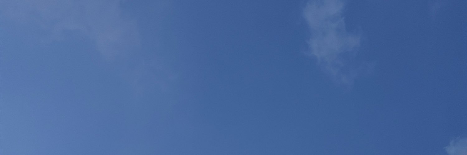 none banner