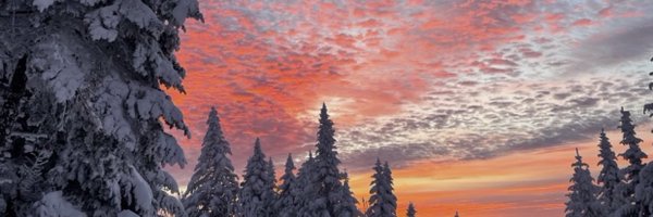 Kk_Vertes Profile Banner