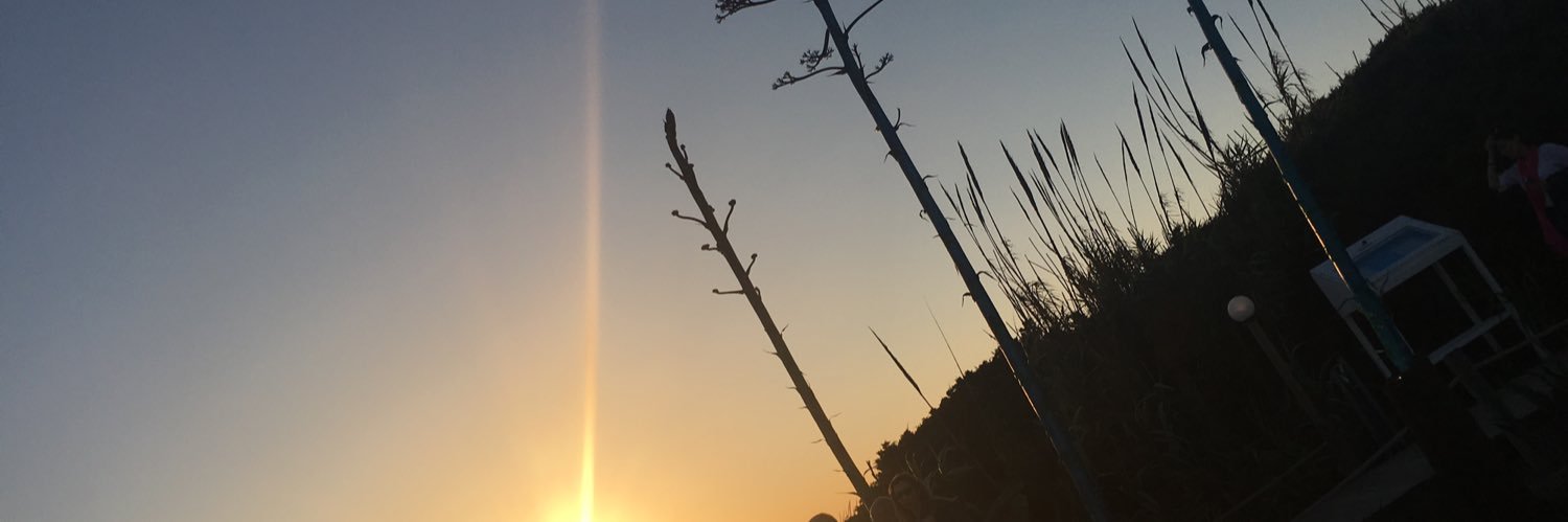 Frances Slowie banner