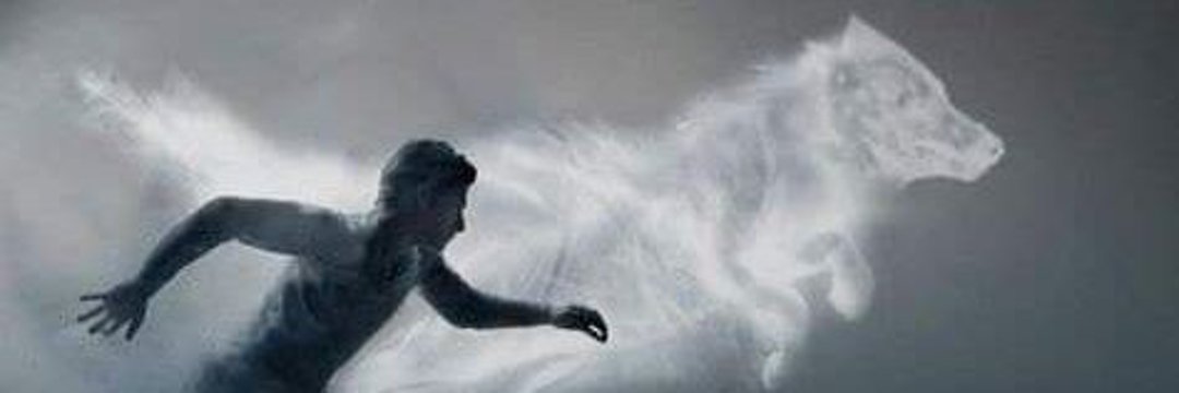 highonsmoking's profile banner image