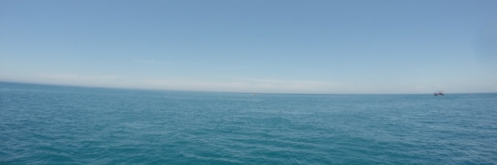 FlorCascone's profile banner image