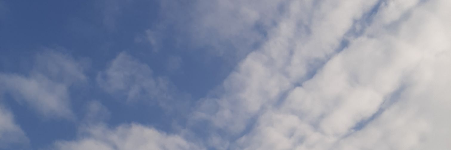 MeghaleeG's profile banner image