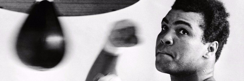 DavidAlwaysWins's profile banner image
