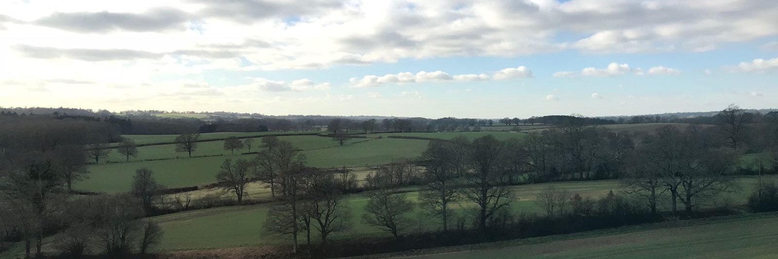 🌈Dame Mabel of Mabel Manor banner