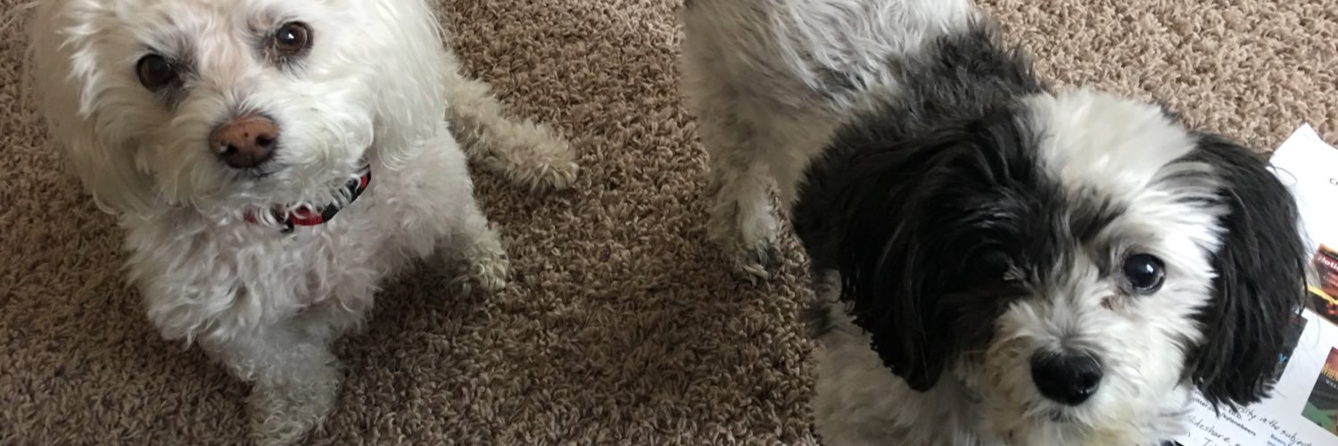 AmyBender8's profile banner image