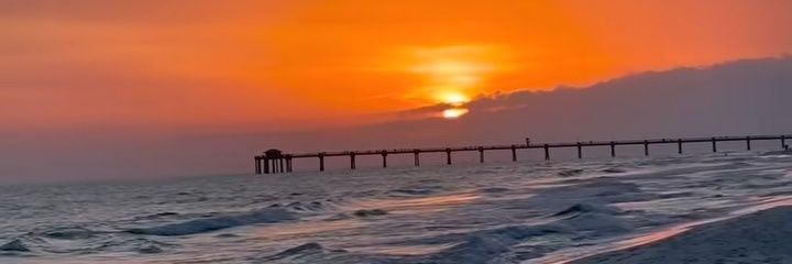 bea 🌼 banner