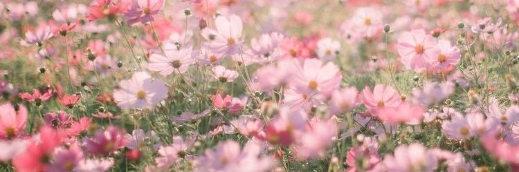 iamlonelybit's profile banner image