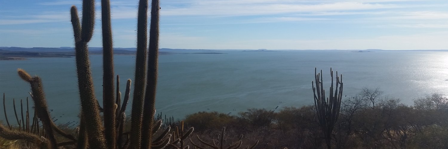 pabloaragonsp's profile banner image