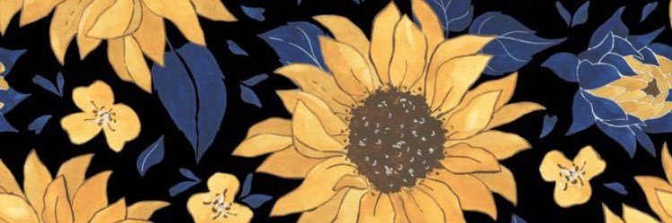 KamesTimeRush's profile banner image