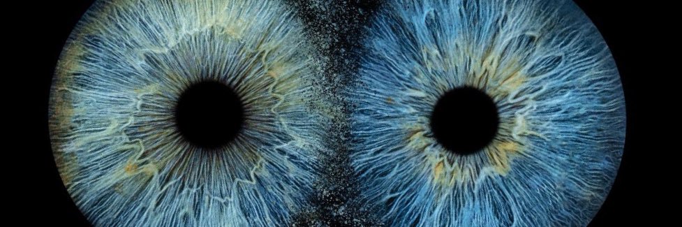 ItsBromosapien's profile banner image