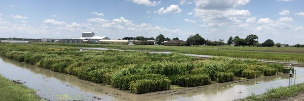 DeeElleSanchez Profile Banner