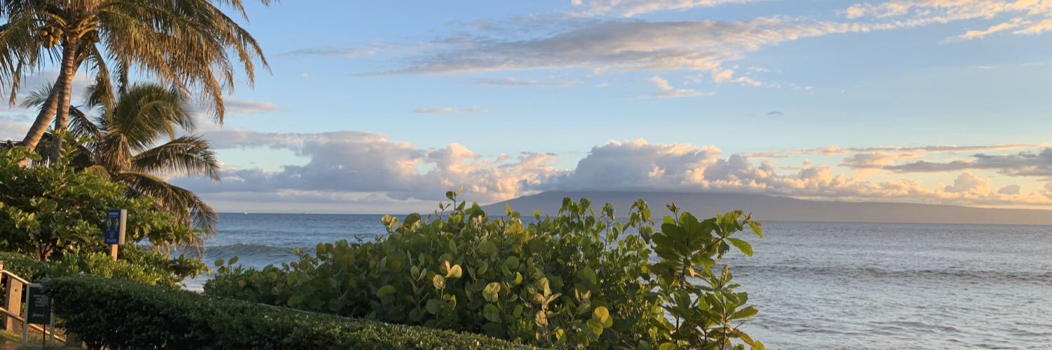 sammillerrr's profile banner image