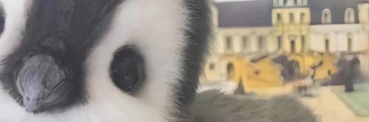 smallanimetits's profile banner image