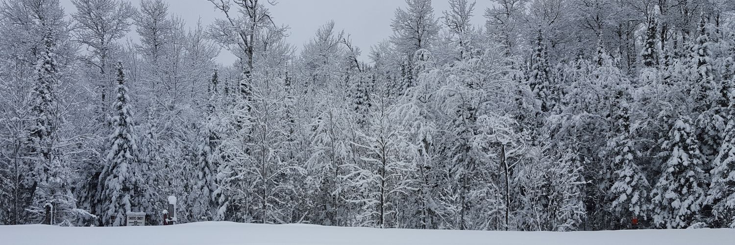 cptoal's profile banner image