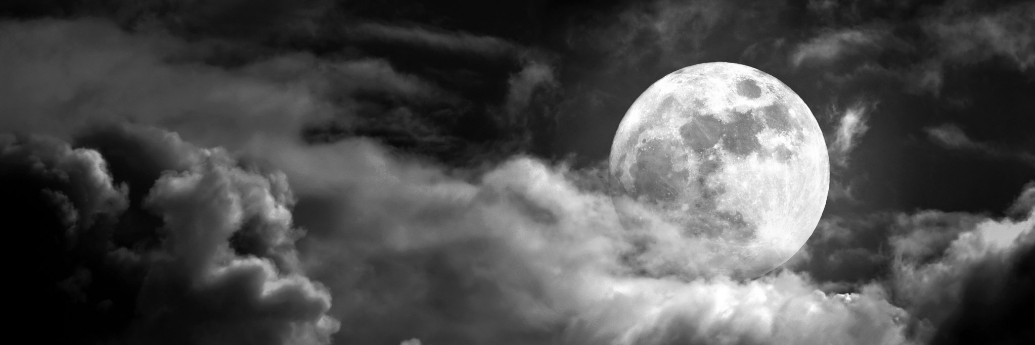 NimaTheShadow's profile banner image