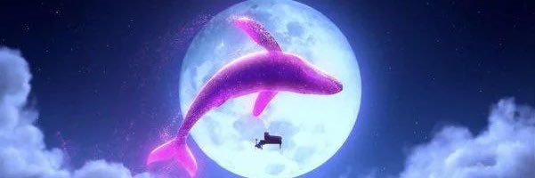 olga_ncampos's profile banner image