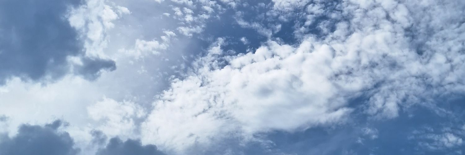snowee_ee's profile banner image