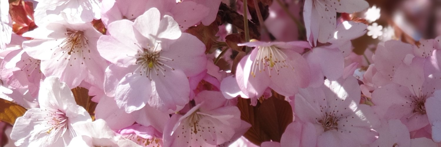 Leadyla1982's profile banner image
