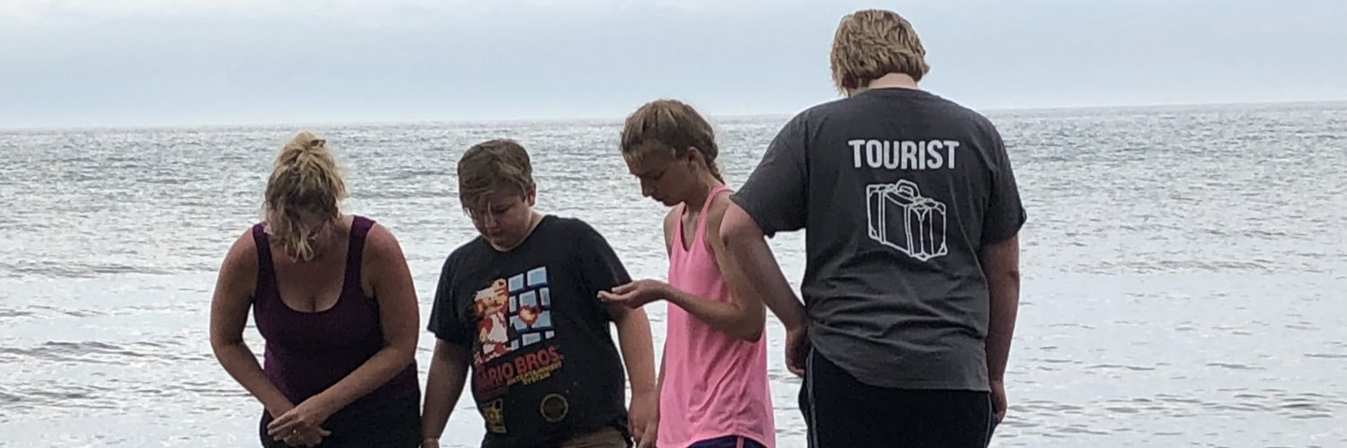 alleerhoff's profile banner image