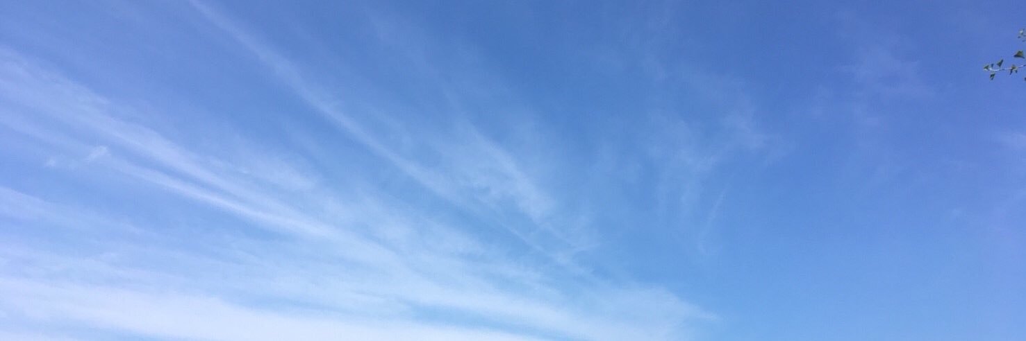 w__ask's profile banner image
