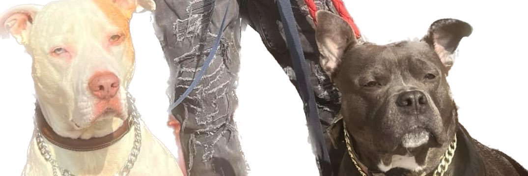 real_junnno's profile banner image