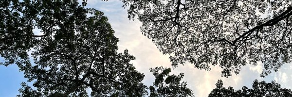 RR_hodl Profile Banner