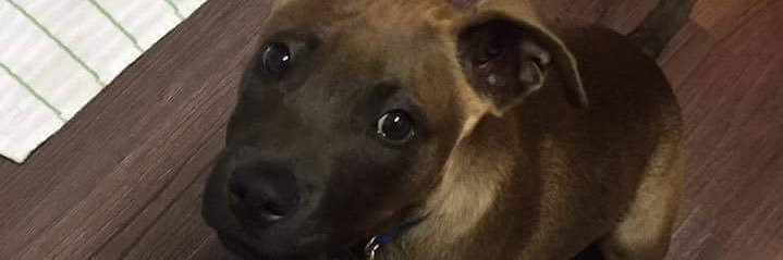 SaraPraytor's profile banner image