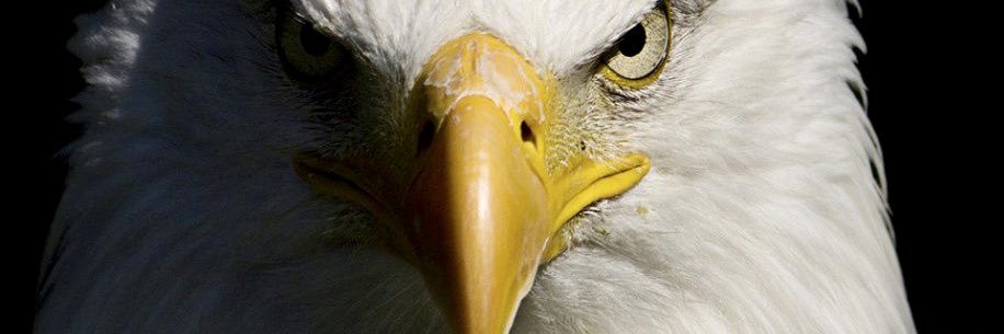 ANDRESNSOLARTE's profile banner image