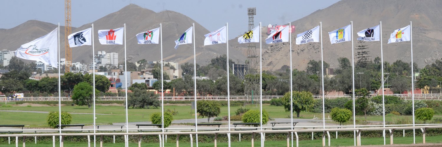 ApccPeru's profile banner image