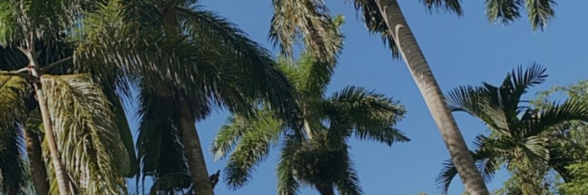 Only_kadey's profile banner image