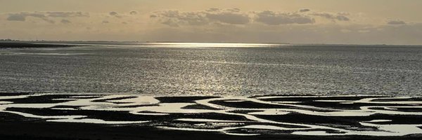 RobYeldham Profile Banner