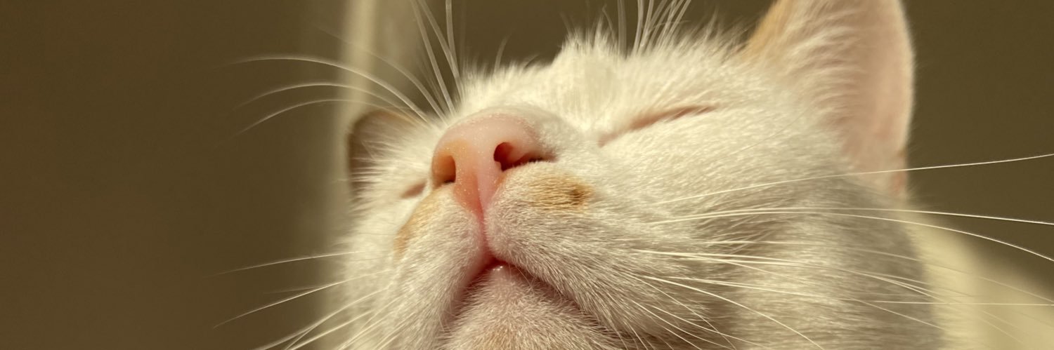 zzmenado's profile banner image