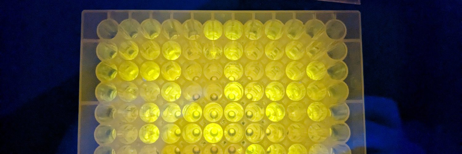 Brandán Pedre banner