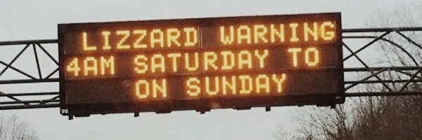 liz 🗡 banner