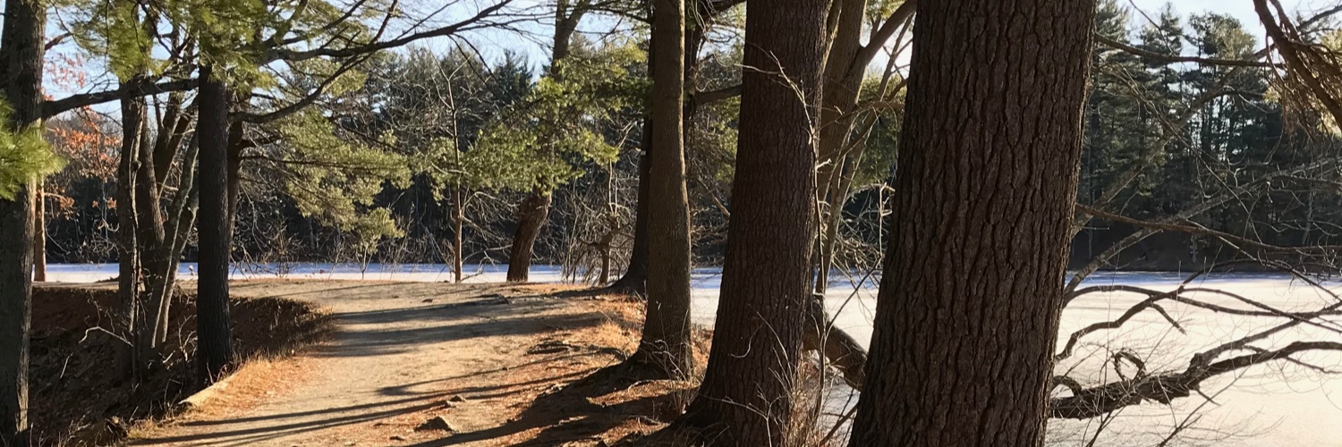 readernh's profile banner image