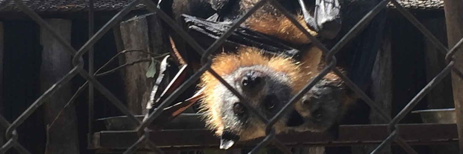 Blake Ryan 🦘🦇 banner