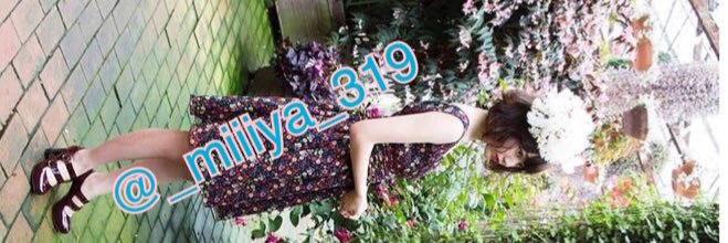 n___m___b___'s profile banner image