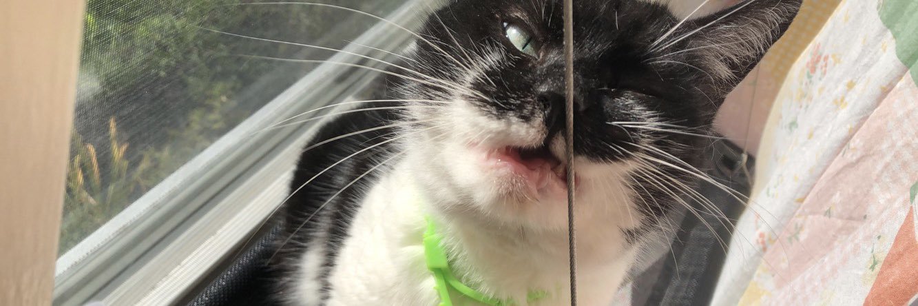 sunt pura si minunata banner