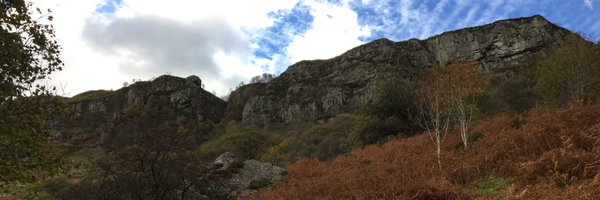 Bustatech Profile Banner