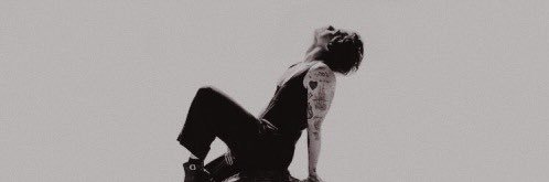 ZaynsFineLine's profile banner image