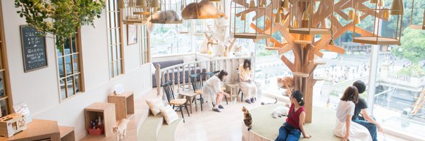 2025春トレカ 猫カフェmocha 渋谷センター街店　コンプ　＆　当たり券2枚 新品 2025春トレカ メルカリ - コンプ 渋谷センター街店 猫