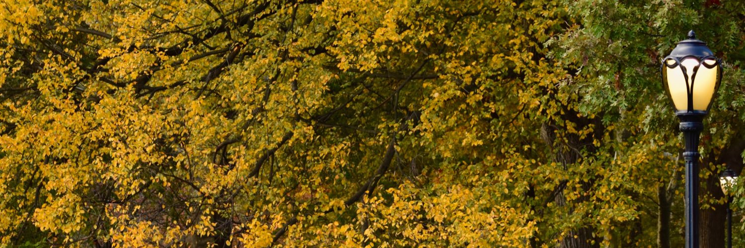 kelseysburner's profile banner image