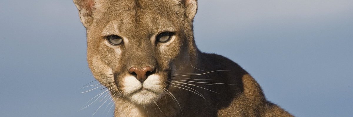 jayzwaz's profile banner image