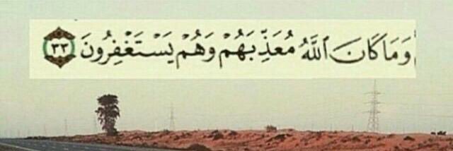 QASEM ALGHAZWANI banner