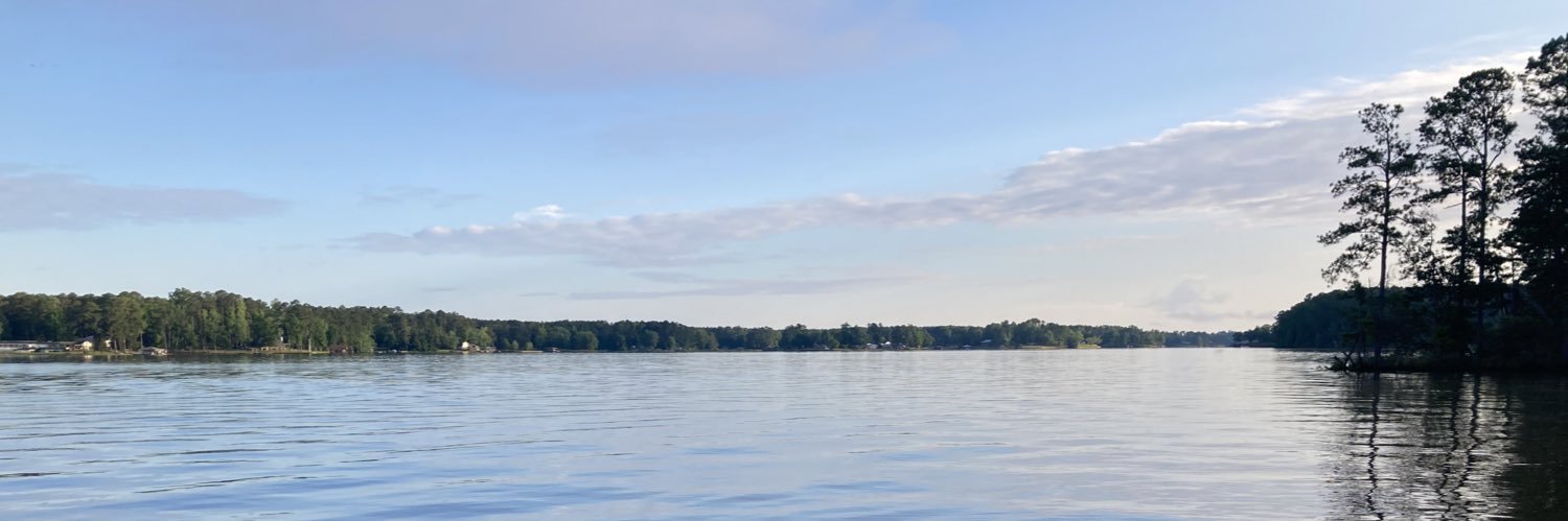 Marie_2D's profile banner image